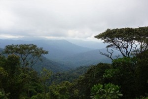 tadoba kolsa view