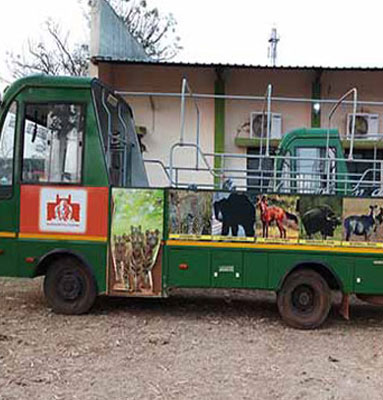 tadoba canter safari