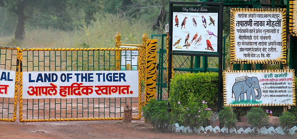 Know the History of Tadoba Andhari Tiger Reserve